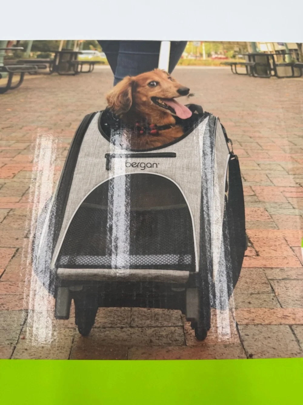 NIB Bergan Rolling Pet Carrier in Heather Grey